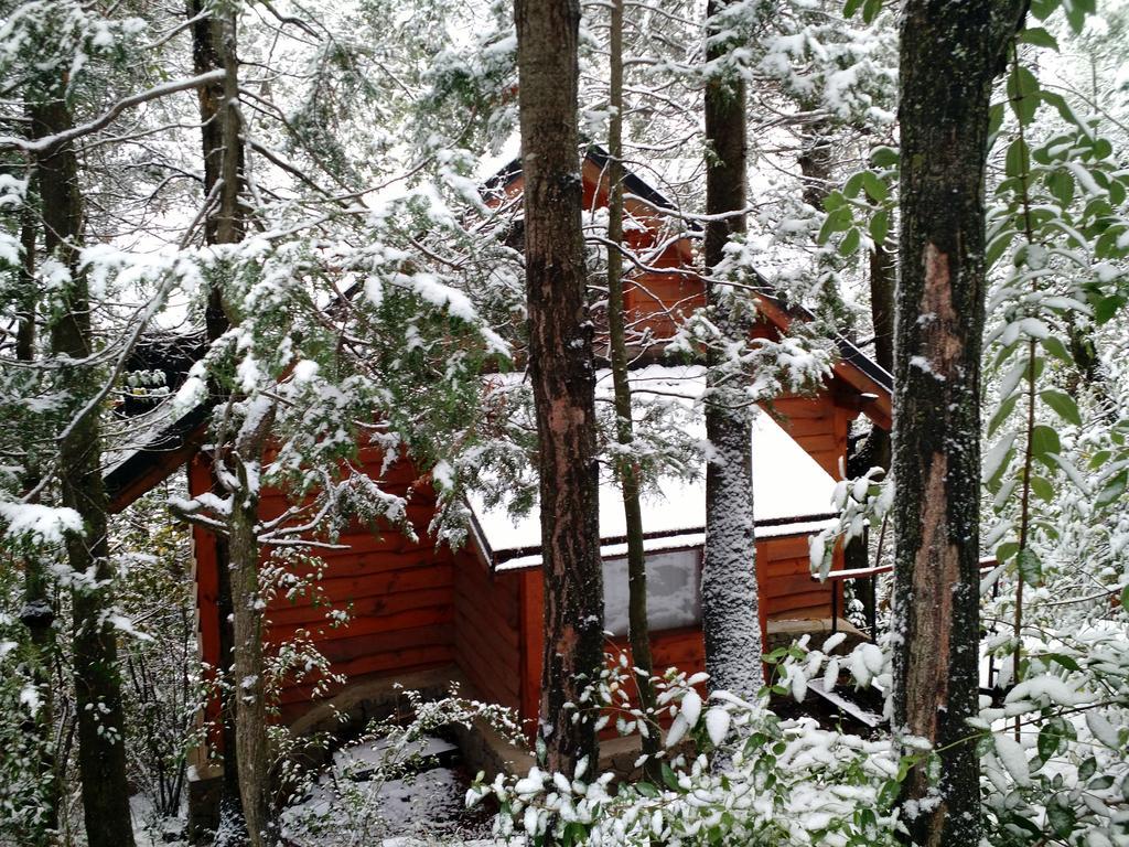 Casa de 2 dormitorios